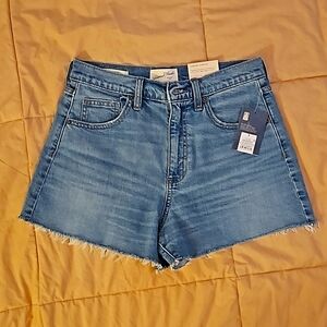 Women's Size 6 Shorts